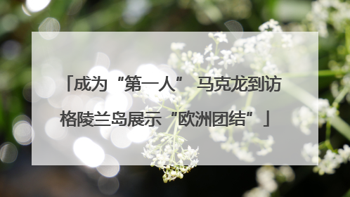 成为“第一人” 马克龙到访格陵兰岛展示“欧洲团结”