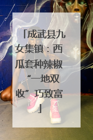 成武县九女集镇：西瓜套种辣椒 “一地双收”巧致富