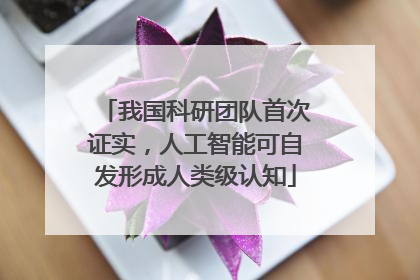 我国科研团队首次证实，人工智能可自发形成人类级认知