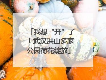 我想“开”了！武汉洪山多家公园荷花绽放