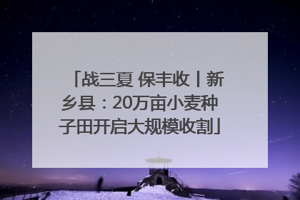 战三夏 保丰收丨新乡县：20万亩小麦种子田开启大规模收割