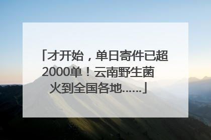 才开始，单日寄件已超2000单！云南野生菌火到全国各地……