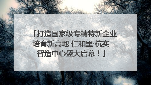 打造国家级专精特新企业培育新高地 仁和里·杭实智造中心盛大启幕！