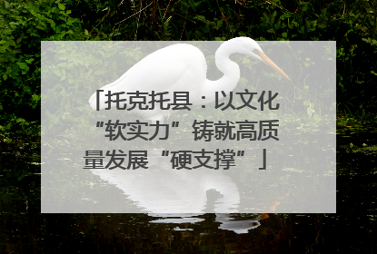 托克托县：以文化“软实力”铸就高质量发展“硬支撑”