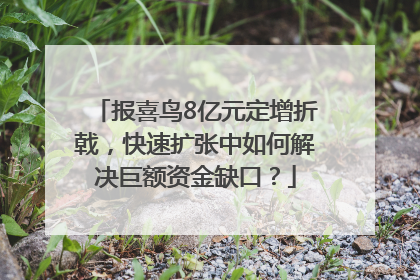 报喜鸟8亿元定增折戟，快速扩张中如何解决巨额资金缺口？