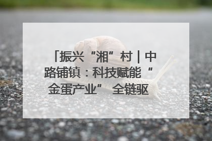 振兴“湘”村｜中路铺镇：科技赋能“金蛋产业” 全链驱动乡村振兴