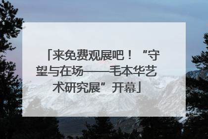 来免费观展吧！“守望与在场——毛本华艺术研究展”开幕