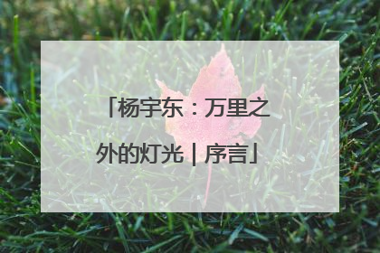 杨宇东：万里之外的灯光｜序言