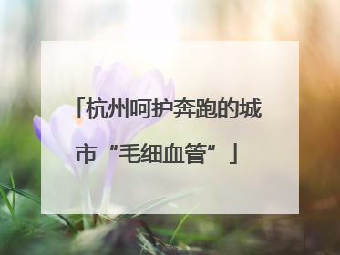 杭州呵护奔跑的城市“毛细血管”