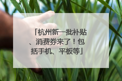 杭州新一批补贴、消费券来了！包括手机、平板等