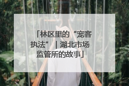 林区里的“宠客执法”｜湖北市场监管所的故事