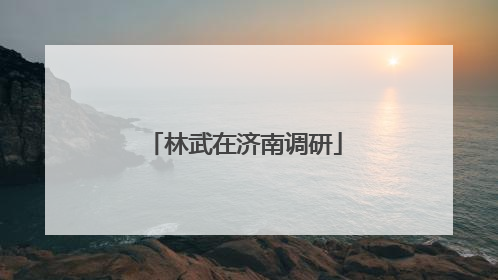 林武在济南调研