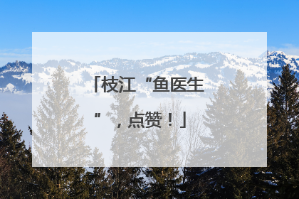 枝江“鱼医生”，点赞！