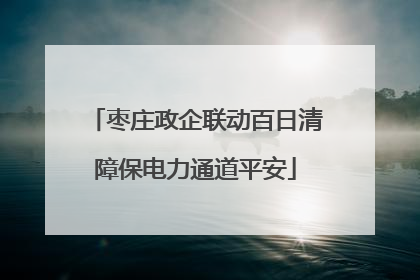 枣庄政企联动百日清障保电力通道平安