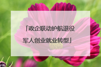 政企联动护航退役军人创业就业转型