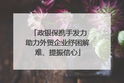 政银保携手发力 助力外贸企业纾困解难、提振信心