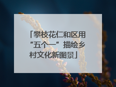 攀枝花仁和区用“五个一”描绘乡村文化新图景