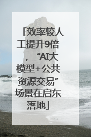 效率较人工提升9倍，“AI大模型+公共资源交易”场景在启东落地