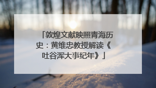敦煌文献映照青海历史：黄维忠教授解读《吐谷浑大事纪年》