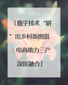 数字技术“耕”出乡村新图景：电商助力三产深度融合