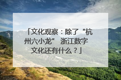 文化观察：除了“杭州六小龙” 浙江数字文化还有什么？