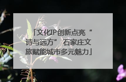 文化IP创新点亮“诗与远方” 石家庄文旅赋能城市多元魅力