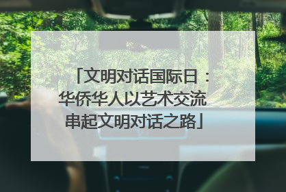 文明对话国际日：华侨华人以艺术交流串起文明对话之路