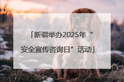 新疆举办2025年“安全宣传咨询日”活动