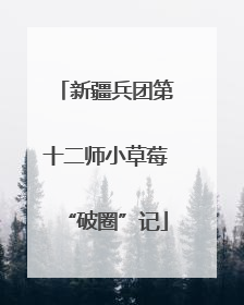 新疆兵团第十二师小草莓“破圈”记
