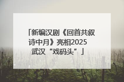 新编汉剧《回首共叙诗中月》亮相2025武汉“戏码头”