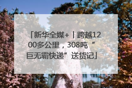 新华全媒+丨跨越1200多公里，308吨“巨无霸快递”送货记