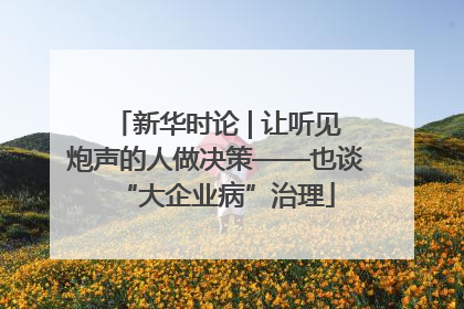 新华时论 | 让听见炮声的人做决策——也谈“大企业病”治理