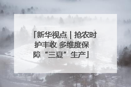 新华视点｜抢农时 护丰收 多维度保障“三夏”生产