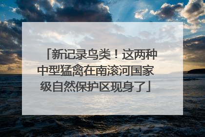 新记录鸟类！这两种中型猛禽在南滚河国家级自然保护区现身了