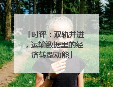 时评：双轨并进，运输数据里的经济转型动能