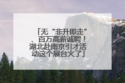无“非升即走”、百万高薪诚聘！湖北赴南京引才活动这个展台火了