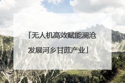 无人机高效赋能澜沧发展河乡甘蔗产业