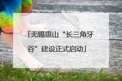 无锡惠山“长三角牙谷”建设正式启动