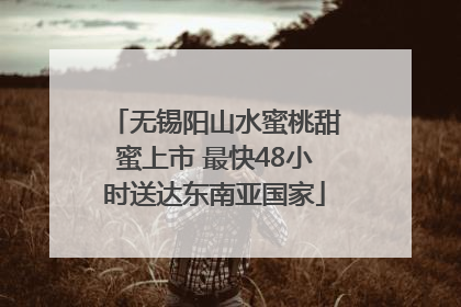 无锡阳山水蜜桃甜蜜上市 最快48小时送达东南亚国家