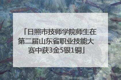 日照市技师学院师生在第二届山东省职业技能大赛中获3金5银1铜