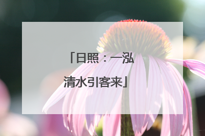 日照：一泓清水引客来