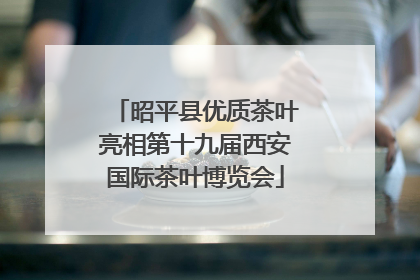 昭平县优质茶叶亮相第十九届西安国际茶叶博览会