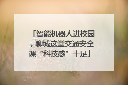 智能机器人进校园，聊城这堂交通安全课“科技感”十足