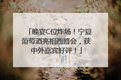 晚宴C位炸场！宁夏葡萄酒亮相西博会，获中外嘉宾好评！