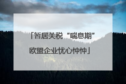 暂居关税“喘息期” 欧盟企业忧心忡忡