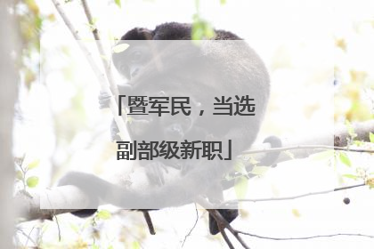 暨军民，当选副部级新职