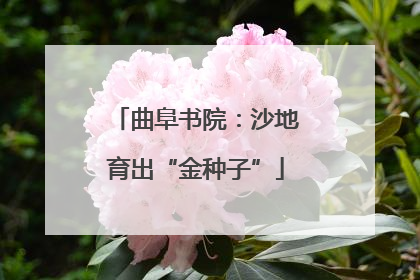 曲阜书院：沙地育出“金种子”