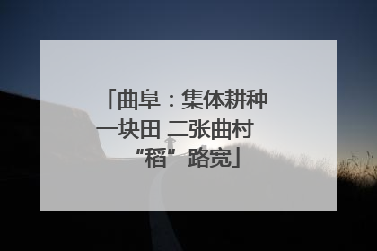 曲阜：集体耕种一块田 二张曲村“稻”路宽