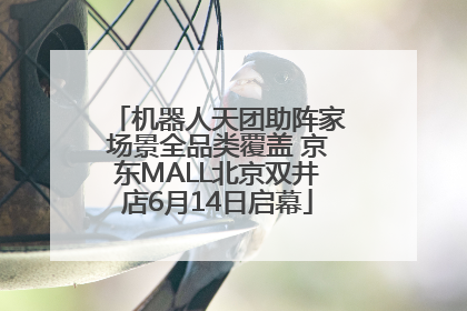 机器人天团助阵家场景全品类覆盖 京东MALL北京双井店6月14日启幕