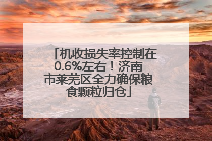 机收损失率控制在0.6%左右！济南市莱芜区全力确保粮食颗粒归仓